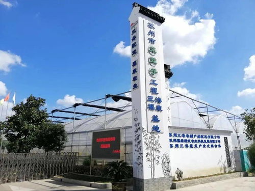 紓難解困，精準服務(wù) 賦能農(nóng)副產(chǎn)品企業(yè)高質(zhì)量發(fā)展