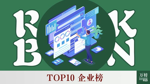 2021年中國人力資源服務(wù)行業(yè)TOP10企業(yè)榜 軟件外包服務(wù)領(lǐng)域洞察